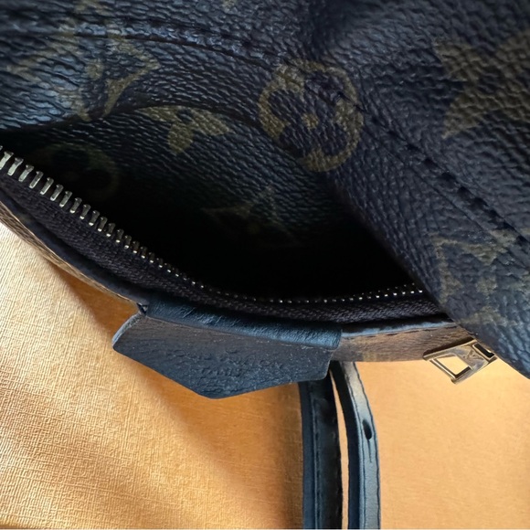 Louis Vuitton Palm Springs PM - Picture 5 of 15